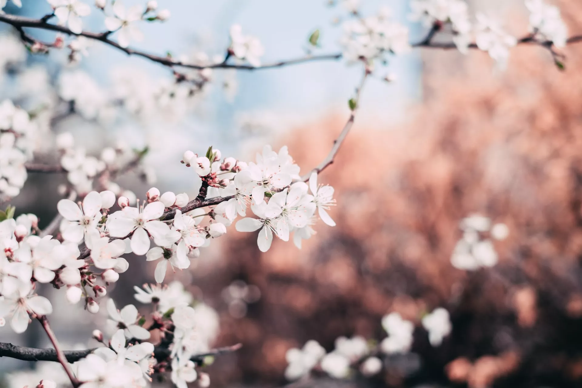 SÁBADO CON TEMPERATURAS PRIMAVERALES